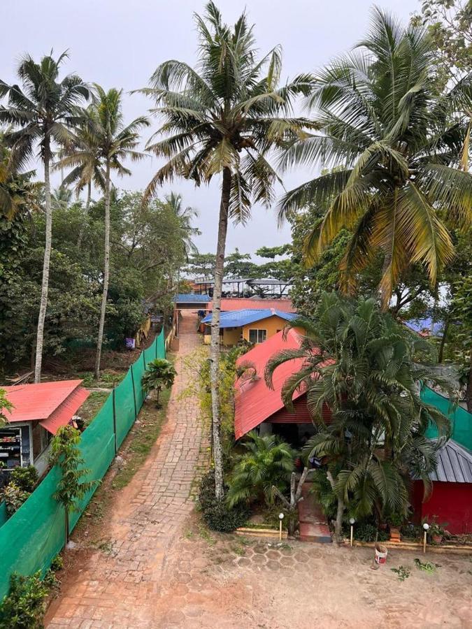 House Homestay *