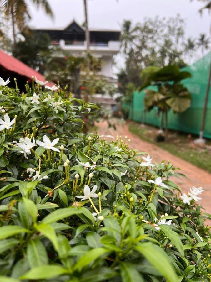 House Homestay Varkala